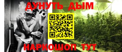 Альфа ПВП Дубна
