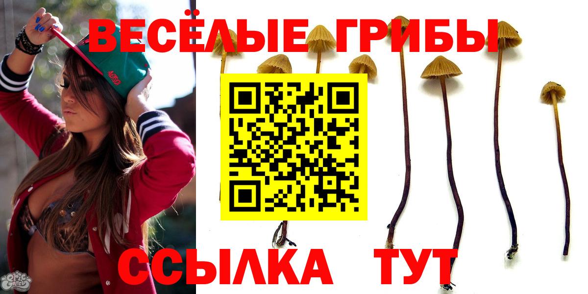 Галлюциногенные грибы Psilocybine cubensis Каменск-Уральский